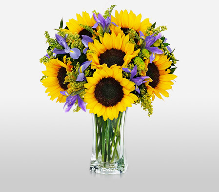Cheerful-Purple,Yellow,SunFlower,Arrangement