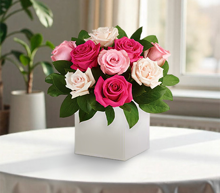 Blushing Roses