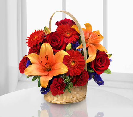 Dash Of Color-Mixed,Orange,Red,Carnation,Daisy,Gerbera,Lily,Mixed Flower,Rose,Arrangement,Basket