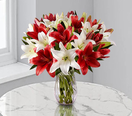 Lily Paradise-Red,White,Lily,Bouquet